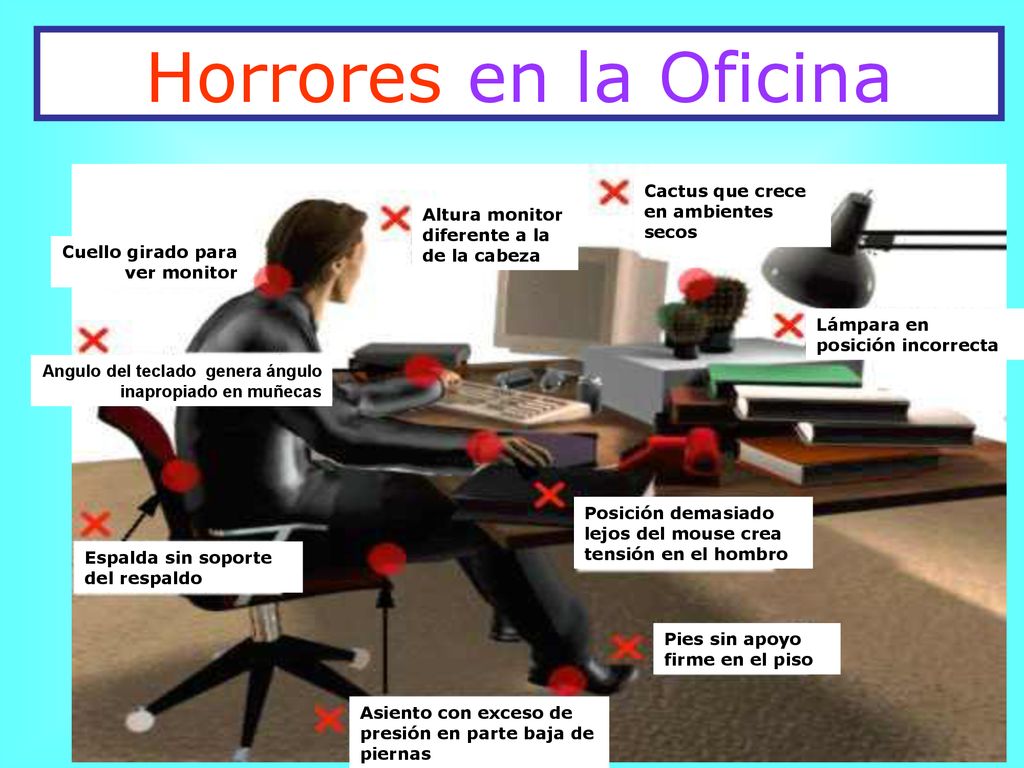 Horrores en la Oficina Cactus que crece en ambientes secos