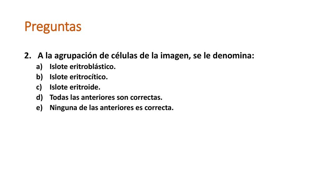 Preguntas A la agrupación de células de la imagen, se le denomina: