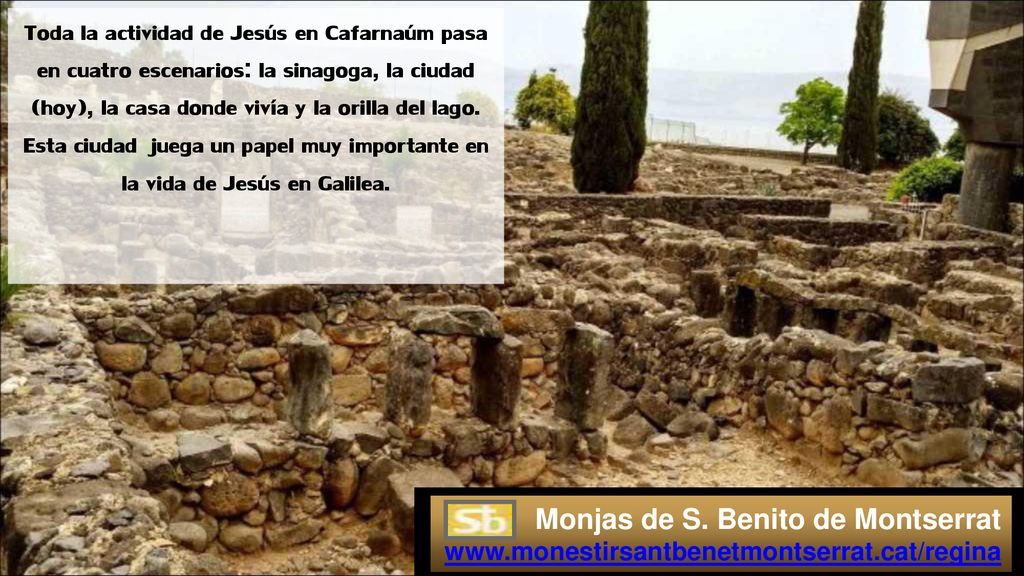 Toda la actividad de Jesús en Cafarnaúm pasa en cuatro escenarios: la sinagoga, la ciudad (hoy), la casa donde vivía y la orilla del lago. Esta ciudad juega un papel muy importante en la vida de Jesús en Galilea.