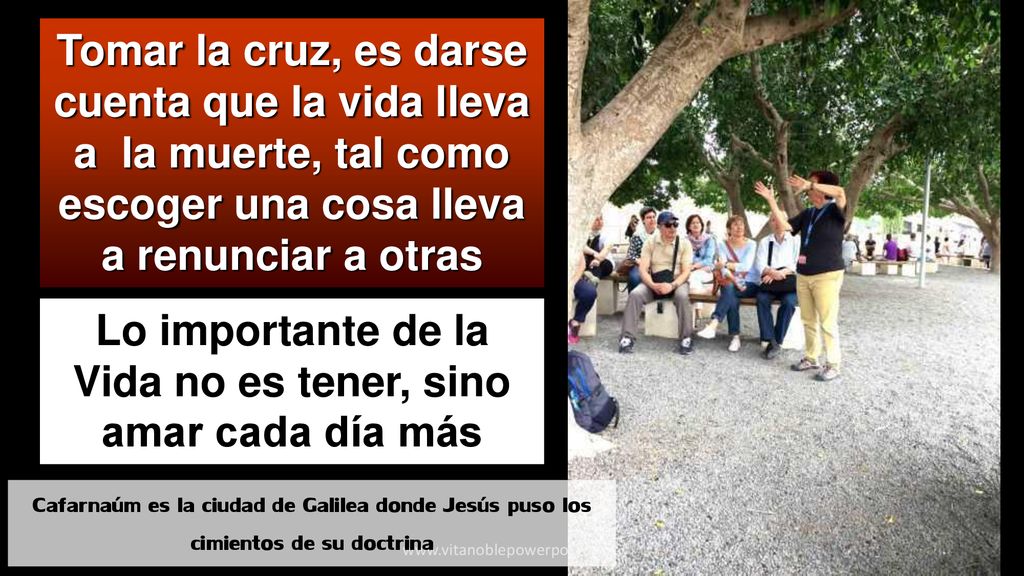 Lo importante de la Vida no es tener, sino amar cada día más