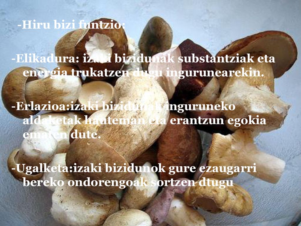 -Hiru bizi funtzio: -Elikadura: izaki bizidunak substantziak eta energia trukatzen dugu ingurunearekin.