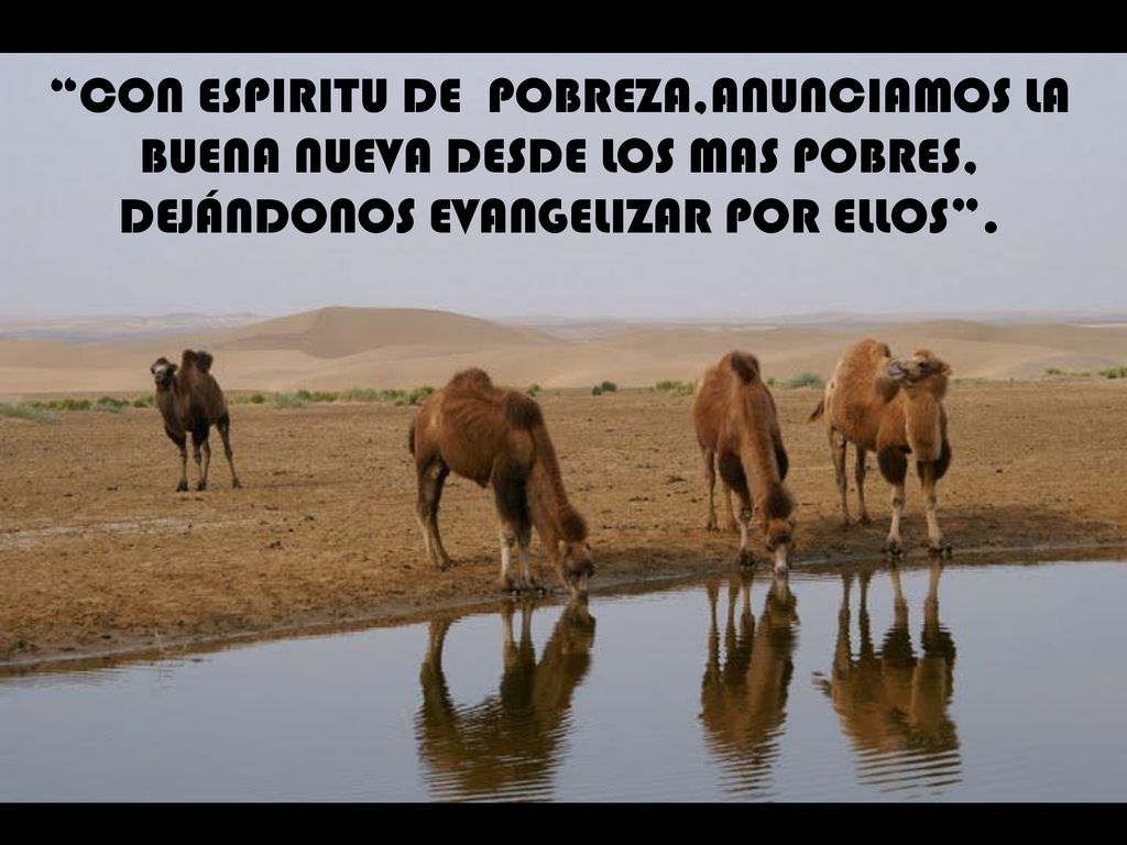 CON ESPIRITU DE POBREZA,ANUNCIAMOS LA BUENA NUEVA DESDE LOS MAS POBRES, DEJÁNDONOS EVANGELIZAR POR ELLOS .