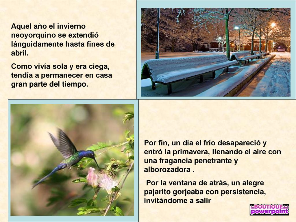 Aquel año el invierno neoyorquino se extendió lánguidamente hasta fines de abril.
