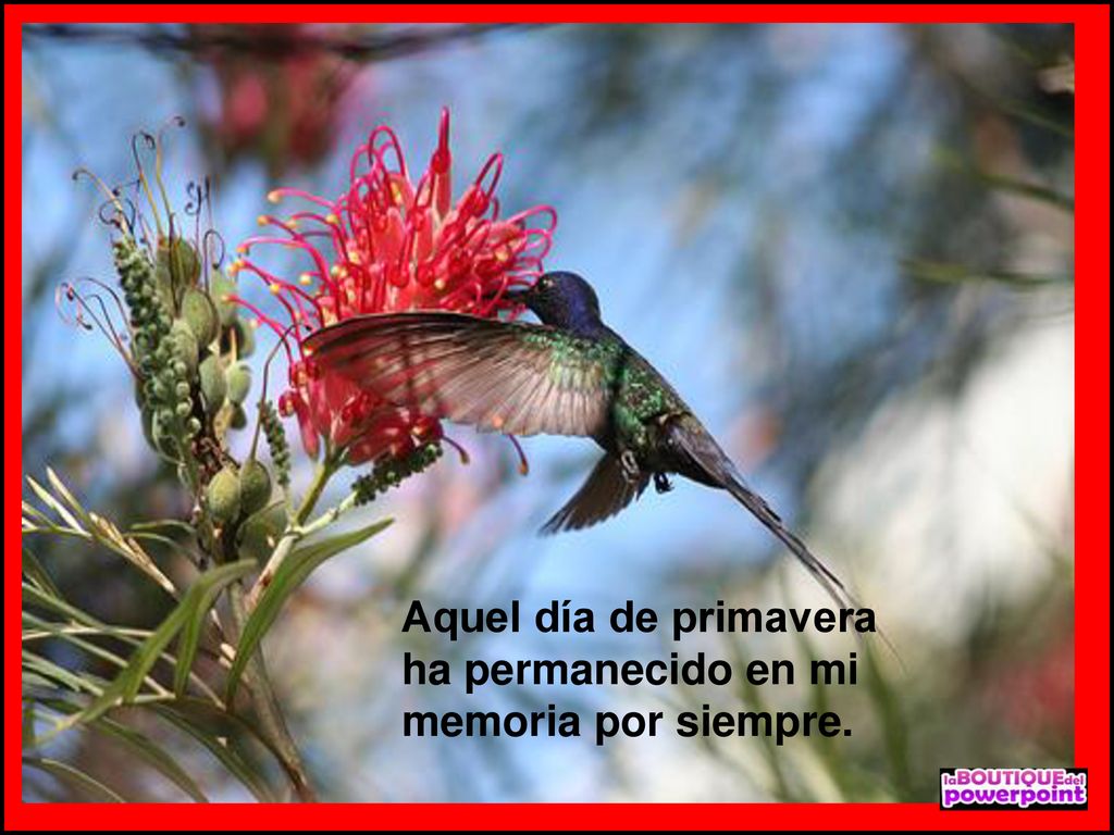 Aquel día de primavera ha permanecido en mi memoria por siempre.