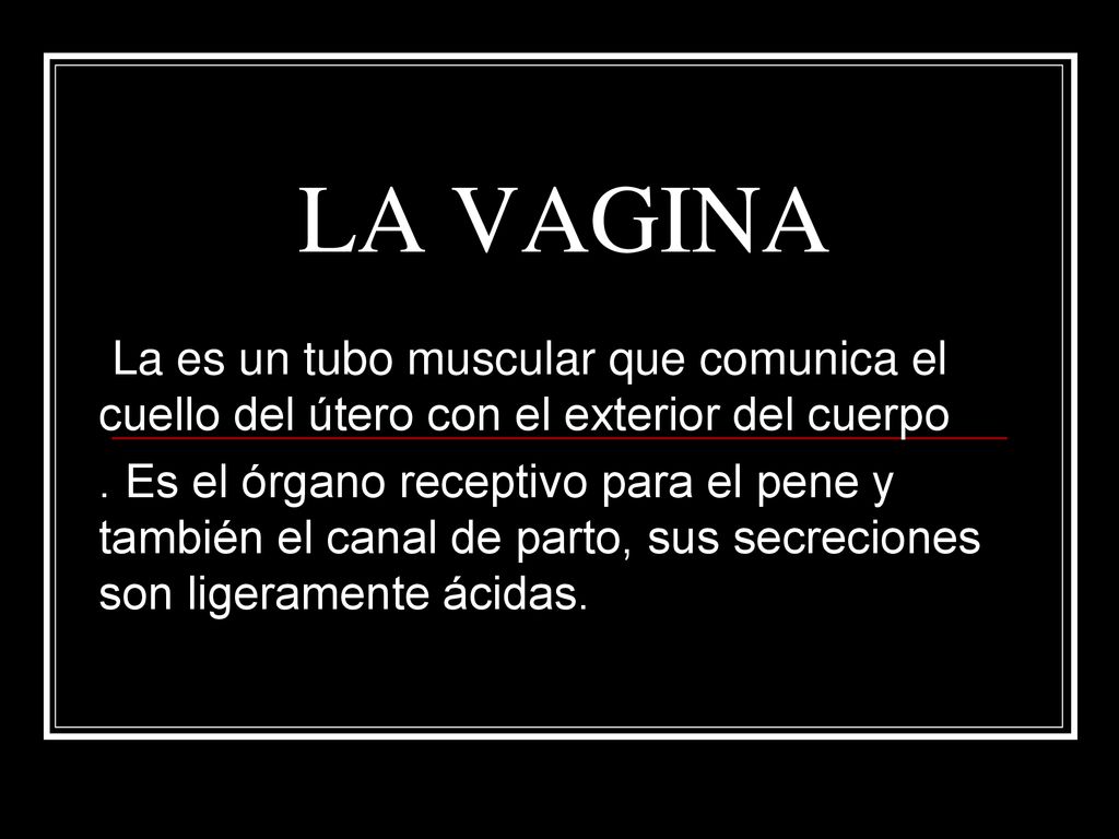 LA VAGINA La es un tubo muscular que comunica el cuello del útero con el exterior del cuerpo.