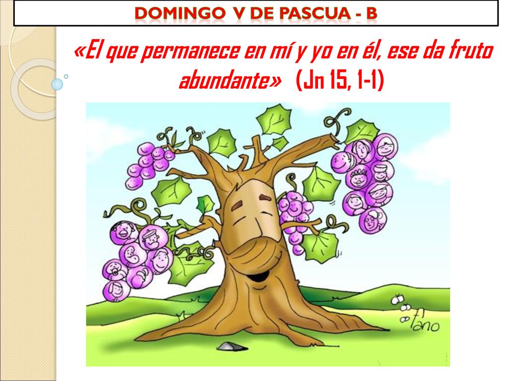 Domingo v de pascua - B «El que permanece en mí y yo en él, ese da fruto abundante» (Jn 15, 1-1)