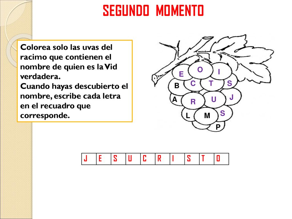 SEGUNDO MOMENTO Colorea solo las uvas del racimo que contienen el nombre de quien es la Vid verdadera.