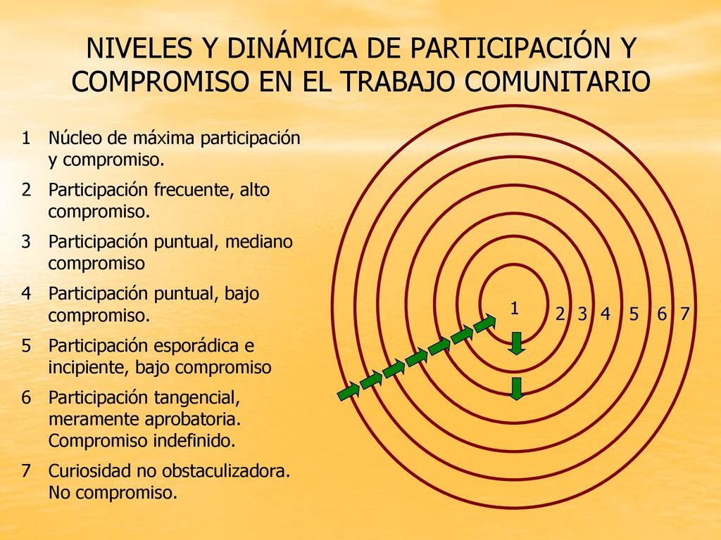 NIVELES Y DINÁMICA DE PARTICIPACIÓN Y COMPROMISO EN EL TRABAJO COMUNITARIO