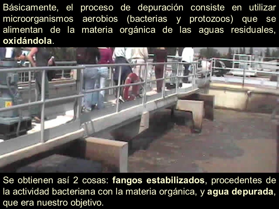 Básicamente, el proceso de depuración consiste en utilizar microorganismos aerobios (bacterias y protozoos) que se alimentan de la materia orgánica de las aguas residuales, oxidándola.