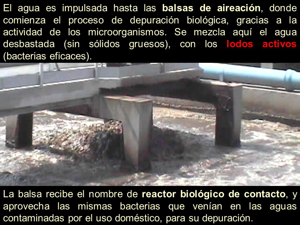 El agua es impulsada hasta las balsas de aireación, donde comienza el proceso de depuración biológica, gracias a la actividad de los microorganismos. Se mezcla aquí el agua desbastada (sin sólidos gruesos), con los lodos activos (bacterias eficaces).
