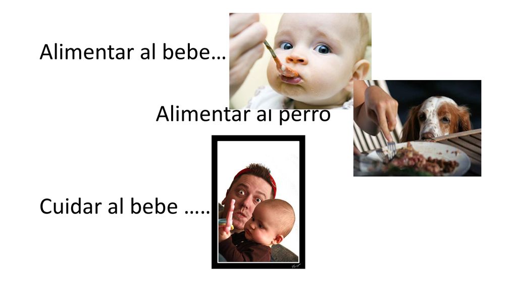 Alimentar al bebe… Alimentar al perro Cuidar al bebe ………