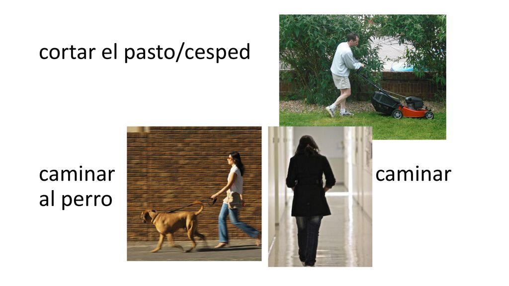 cortar el pasto/cesped caminar caminar al perro