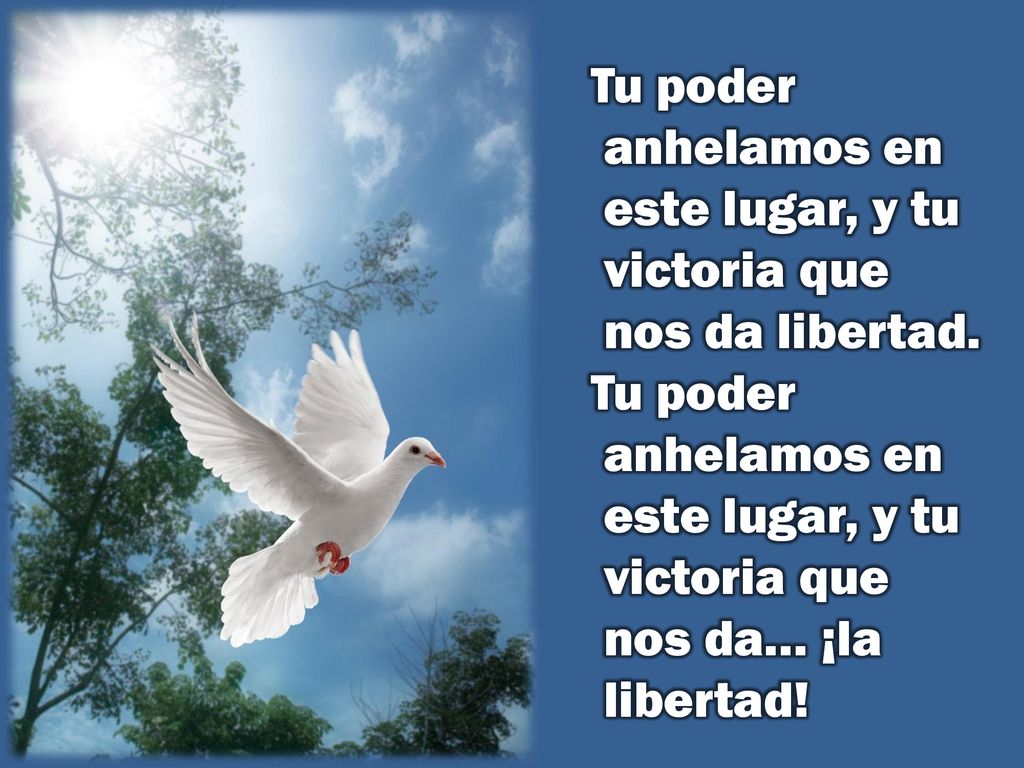 Tu poder anhelamos en este lugar, y tu victoria que nos da libertad