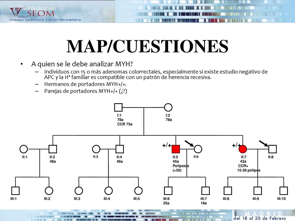 MAP/CUESTIONES A quien se le debe analizar MYH +/+ +/+