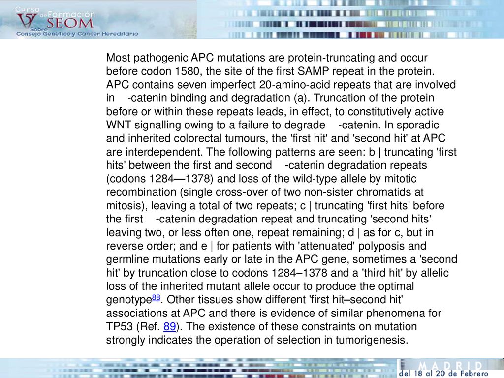 Most pathogenic APC mutations are protein-truncating and occur before codon 1580, the site of the first SAMP repeat in the protein.