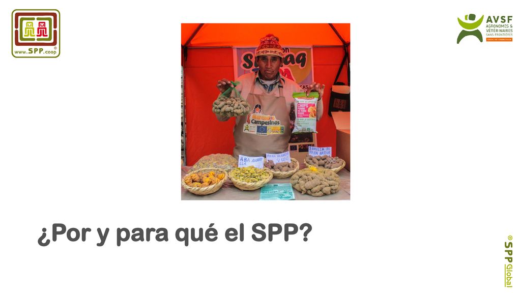 Why=Por qué ¿Por y para qué el SPP