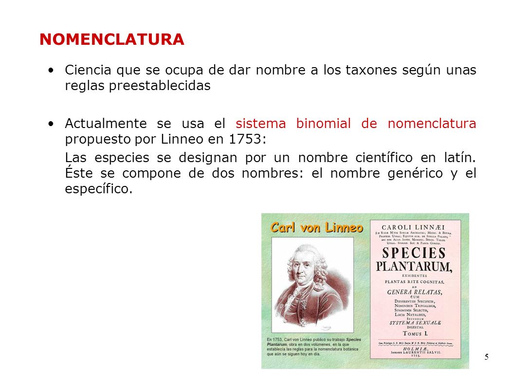 NOMENCLATURA Ciencia que se ocupa de dar nombre a los taxones según unas reglas preestablecidas.