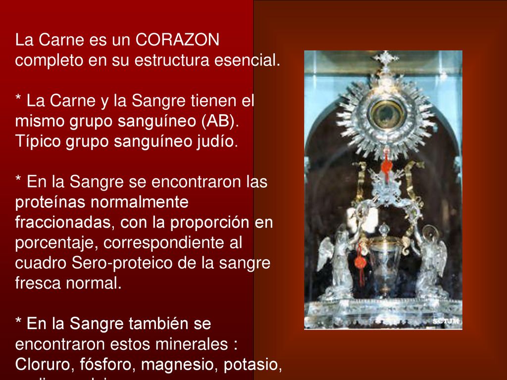 La Carne es un CORAZON completo en su estructura esencial