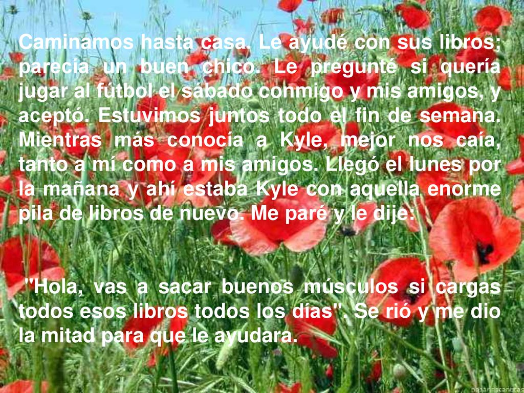 Caminamos hasta casa. Le ayudé con sus libros; parecía un buen chico