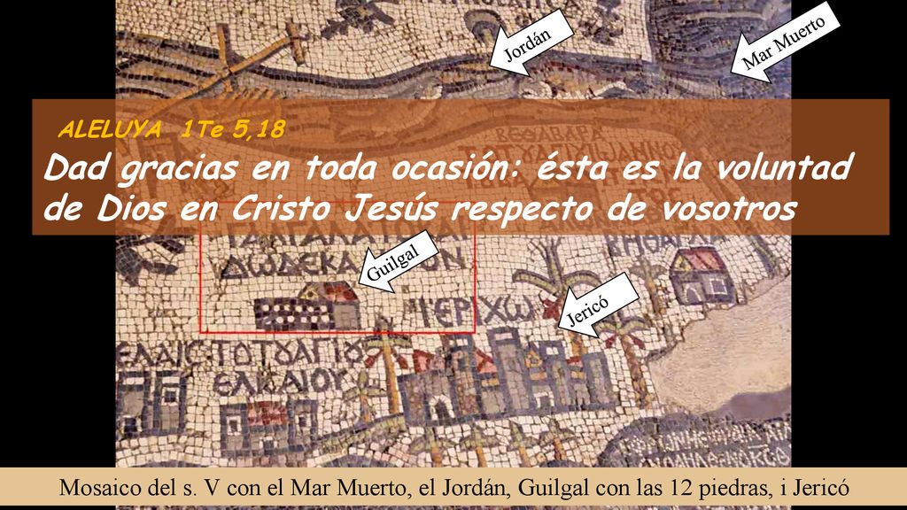 Jordán Mar Muerto. ALELUYA 1Te 5,18. Dad gracias en toda ocasión: ésta es la voluntad de Dios en Cristo Jesús respecto de vosotros.