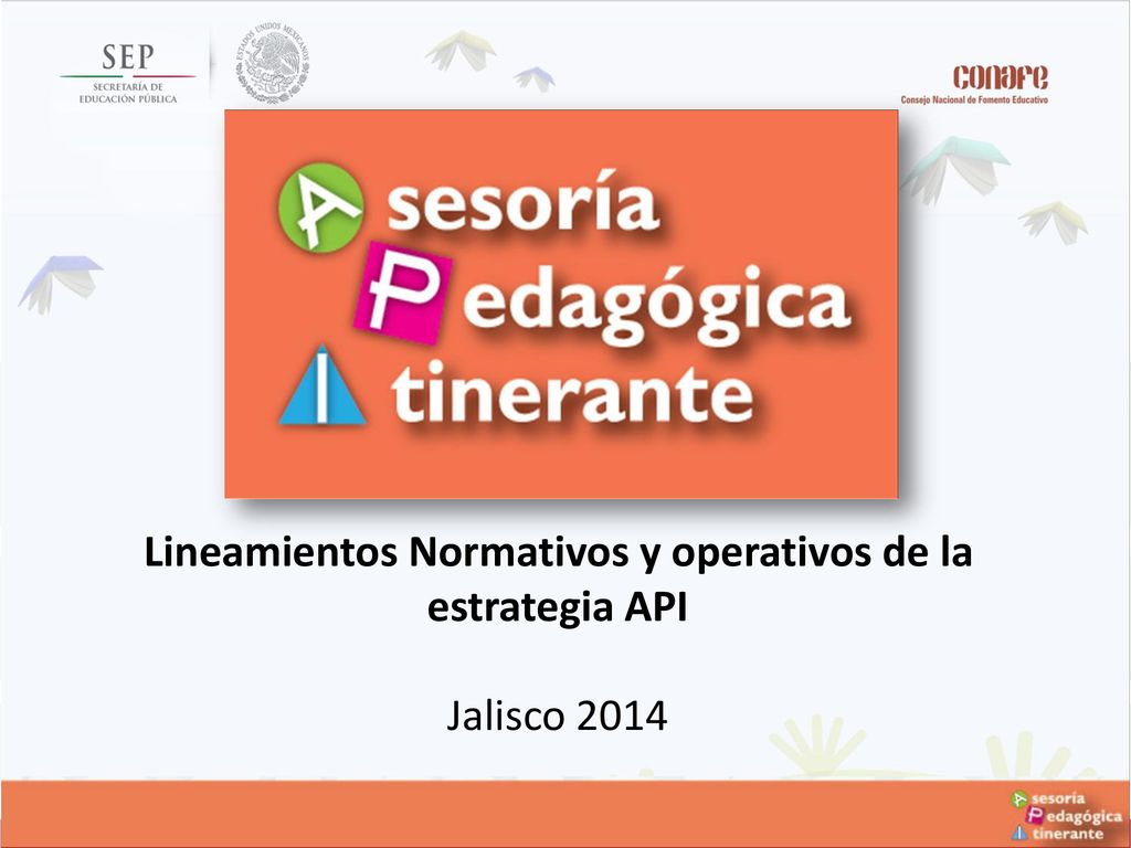 Lineamientos Normativos y operativos de la estrategia API Jalisco 2014