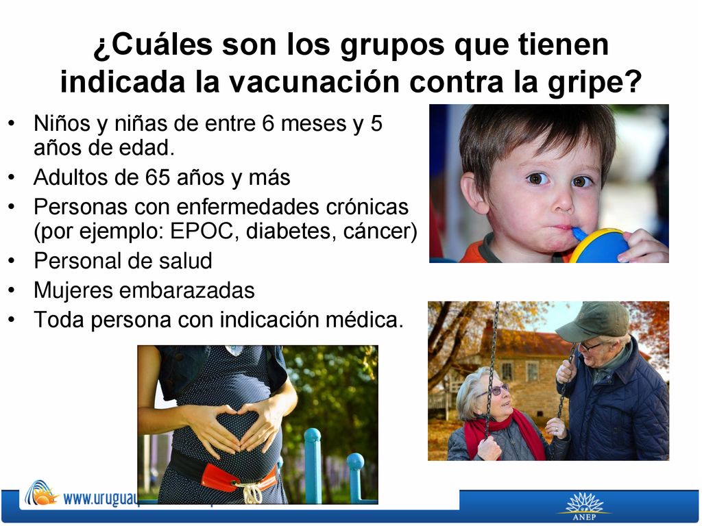¿Cuáles son los grupos que tienen indicada la vacunación contra la gripe