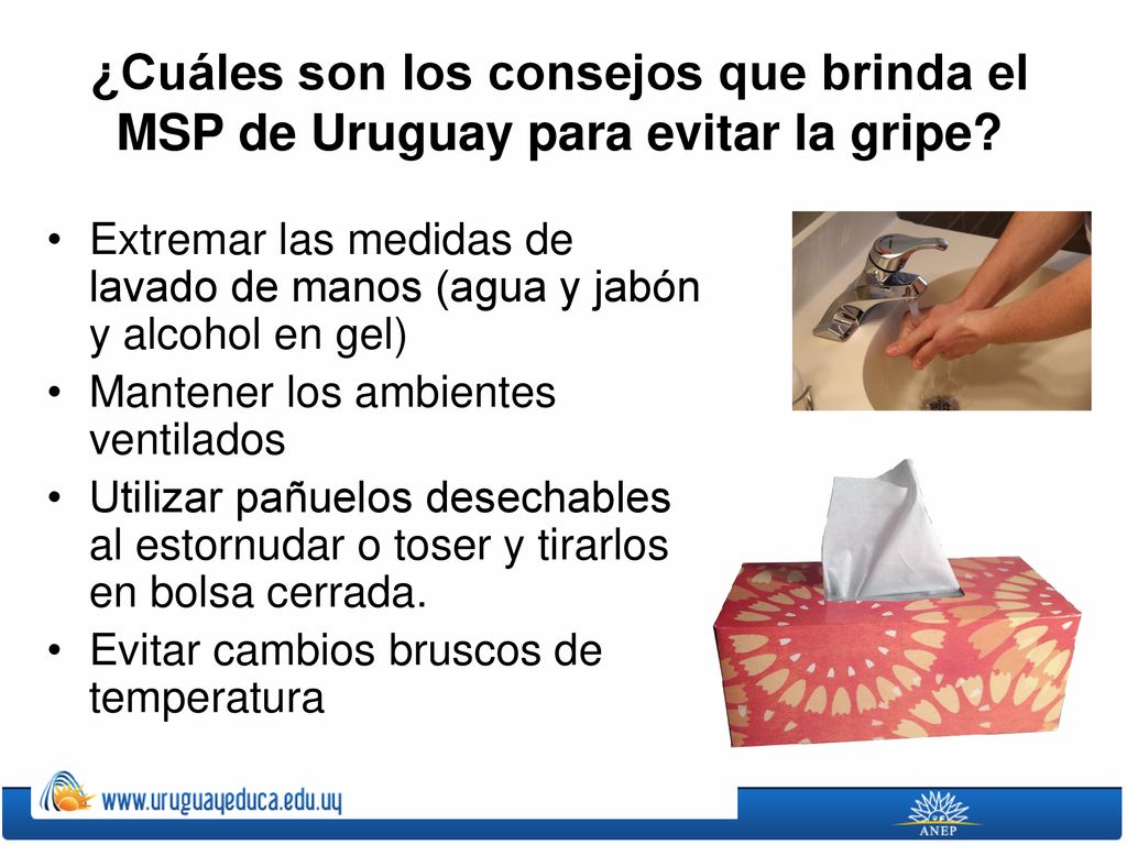 ¿Cuáles son los consejos que brinda el MSP de Uruguay para evitar la gripe