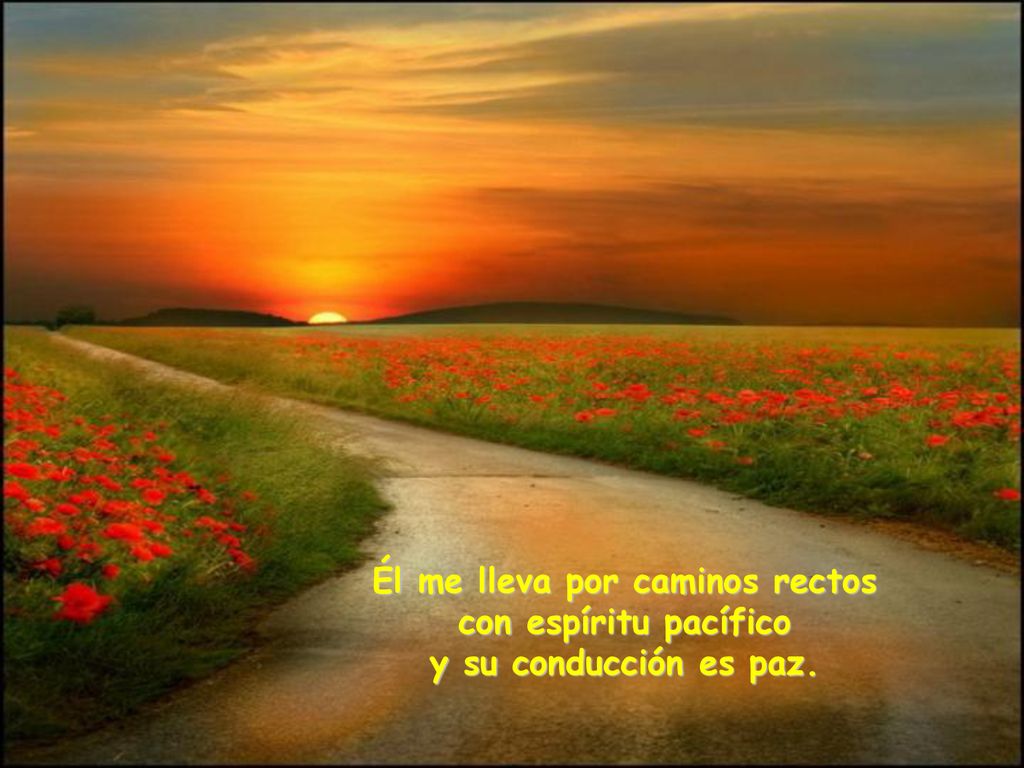 Él me lleva por caminos rectos con espíritu pacífico y su conducción es paz.