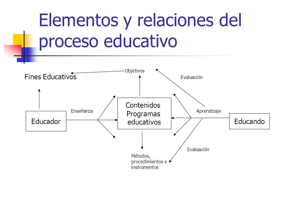 Elementos y relaciones del proceso educativo
