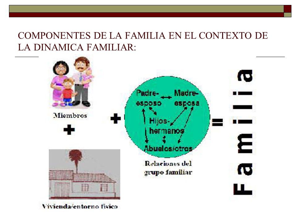 COMPONENTES DE LA FAMILIA EN EL CONTEXTO DE LA DINAMICA FAMILIAR: