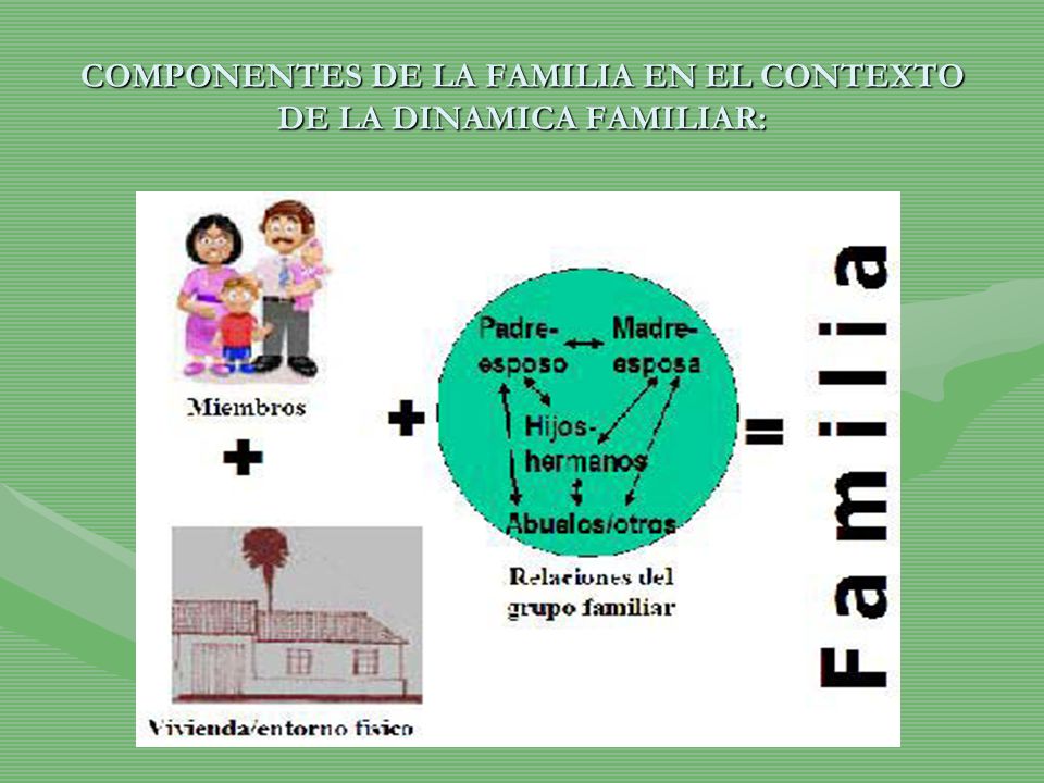 COMPONENTES DE LA FAMILIA EN EL CONTEXTO DE LA DINAMICA FAMILIAR: