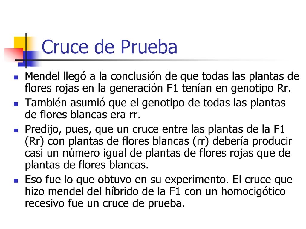 Cruce de Prueba Mendel llegó a la conclusión de que todas las plantas de flores rojas en la generación F1 tenían en genotipo Rr.