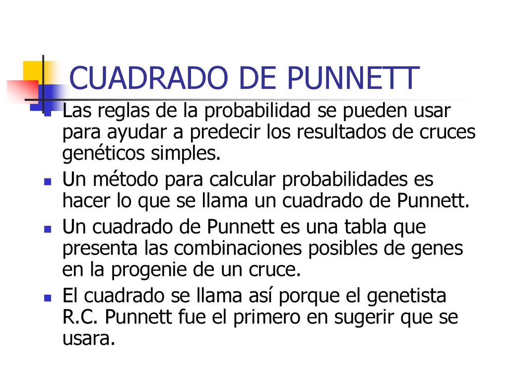 CUADRADO DE PUNNETT Las reglas de la probabilidad se pueden usar para ayudar a predecir los resultados de cruces genéticos simples.