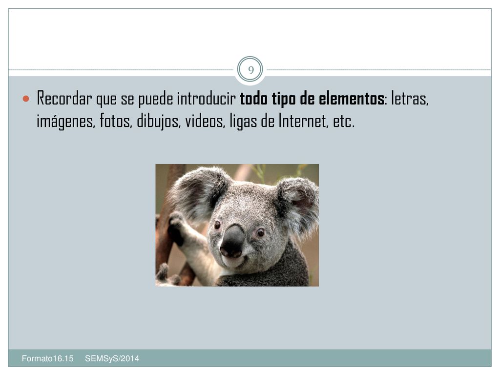 Recordar que se puede introducir todo tipo de elementos: letras, imágenes, fotos, dibujos, videos, ligas de Internet, etc.