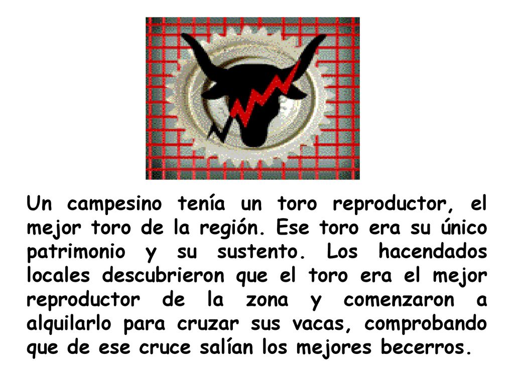 Un campesino tenía un toro reproductor, el mejor toro de la región