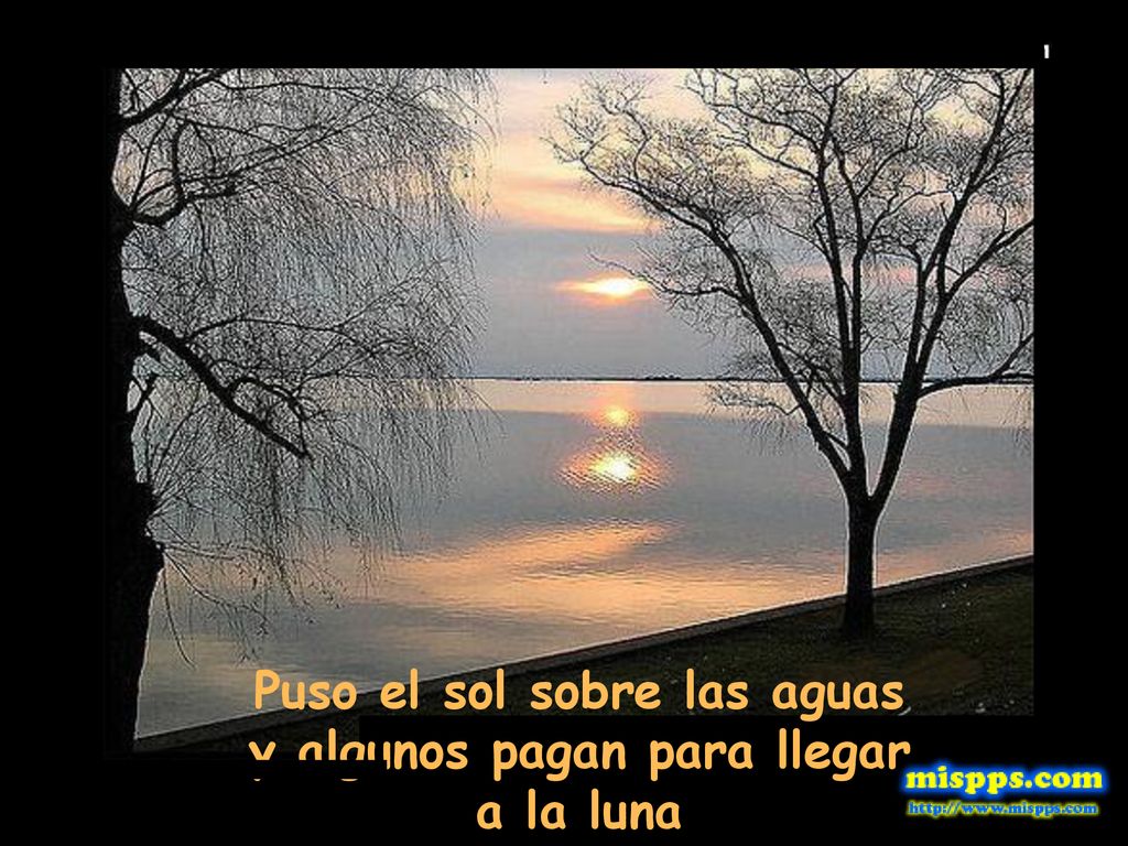 Puso el sol sobre las aguas y algunos pagan para llegar a la luna