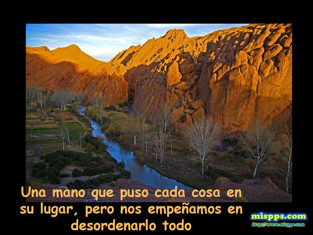 Una mano que puso cada cosa en su lugar, pero nos empeñamos en desordenarlo todo