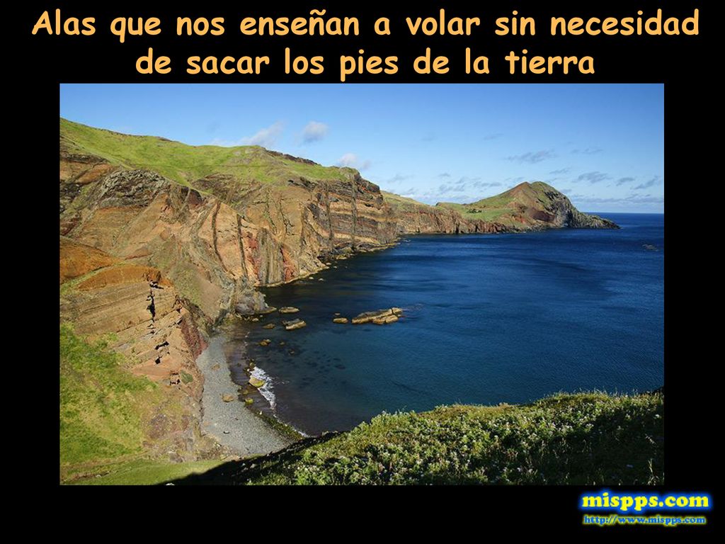 Alas que nos enseñan a volar sin necesidad de sacar los pies de la tierra