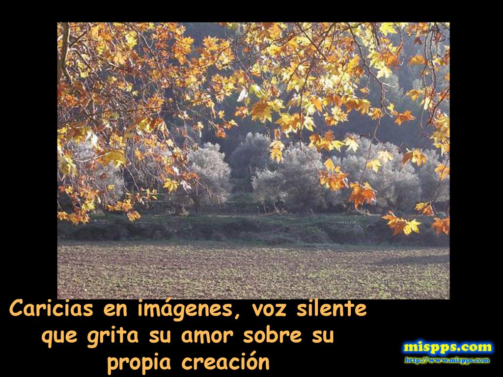 Caricias en imágenes, voz silente que grita su amor sobre su propia creación