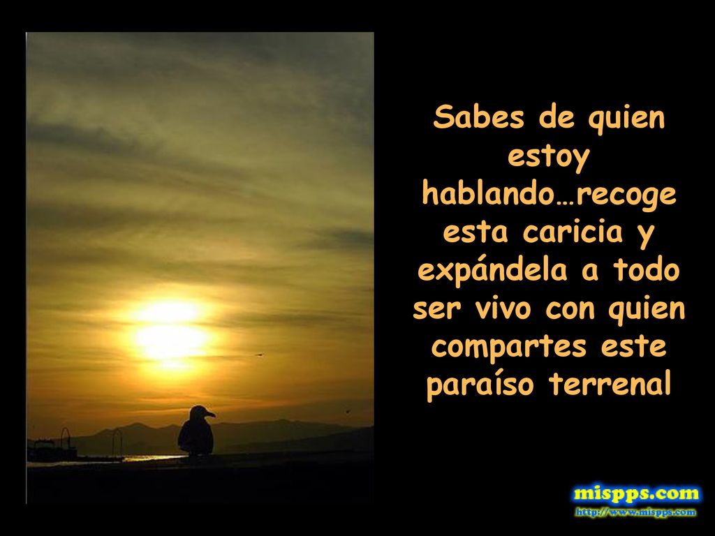Sabes de quien estoy hablando…recoge esta caricia y expándela a todo ser vivo con quien compartes este paraíso terrenal