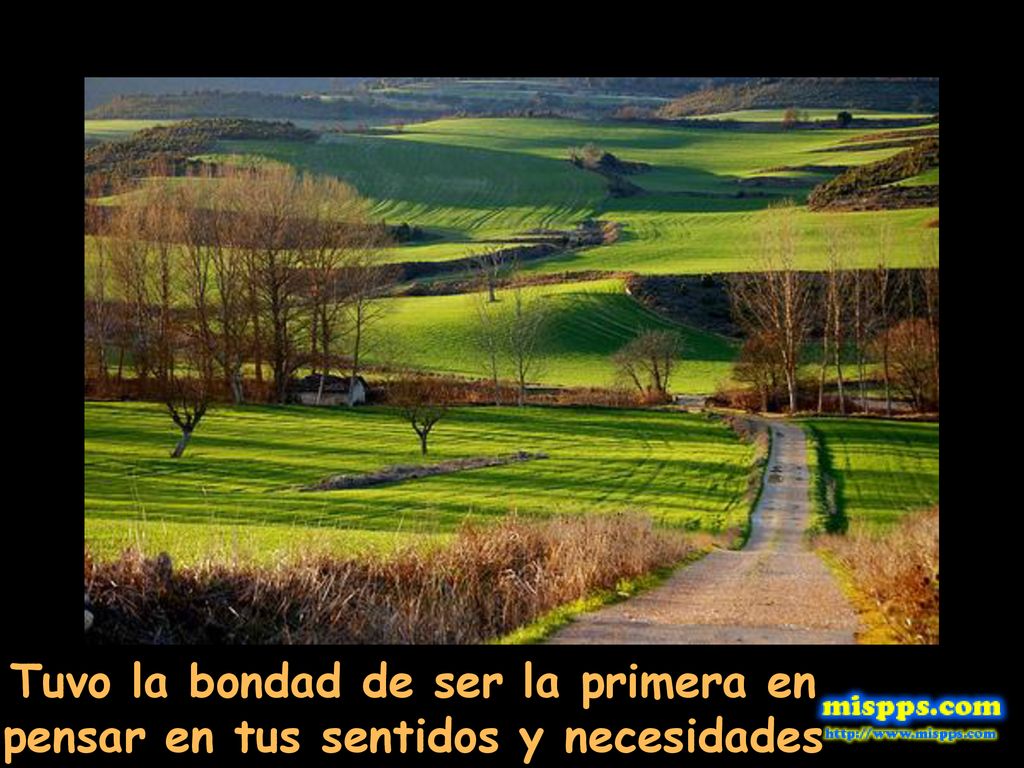 Tuvo la bondad de ser la primera en pensar en tus sentidos y necesidades