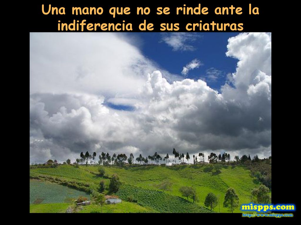 Una mano que no se rinde ante la indiferencia de sus criaturas