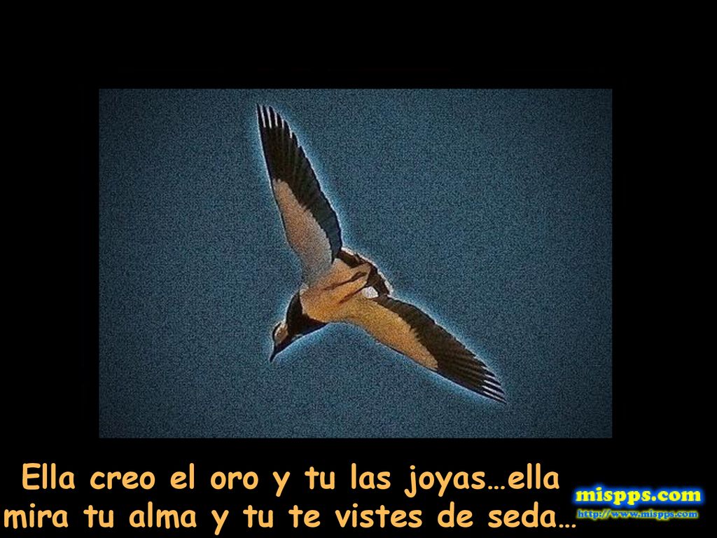 Ella creo el oro y tu las joyas…ella mira tu alma y tu te vistes de seda…
