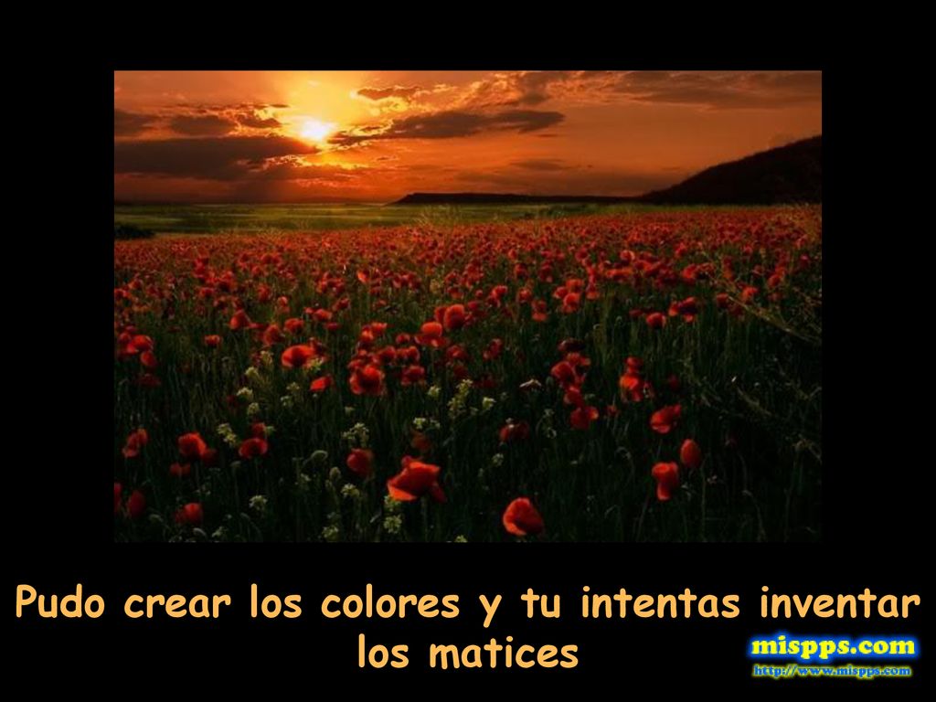 Pudo crear los colores y tu intentas inventar los matices