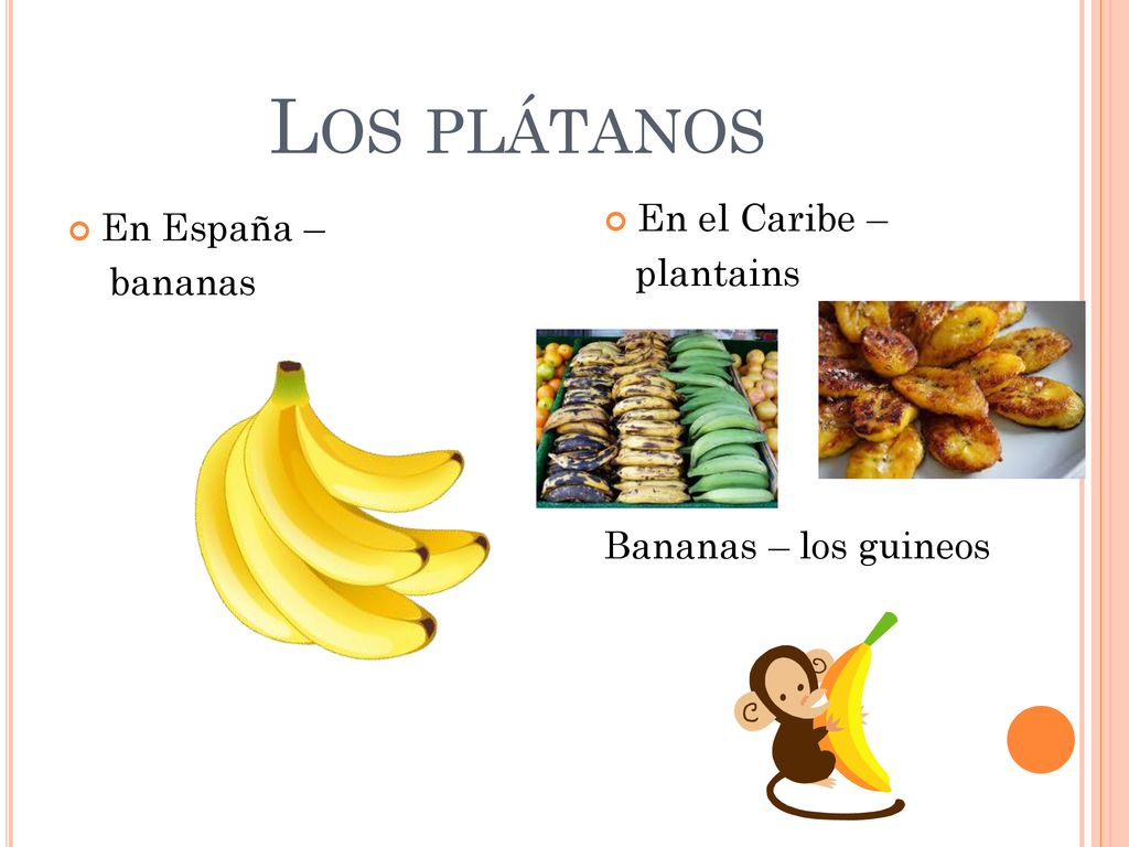 Los plátanos En el Caribe – En España – plantains bananas
