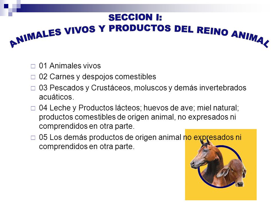 ANIMALES VIVOS Y PRODUCTOS DEL REINO ANIMAL