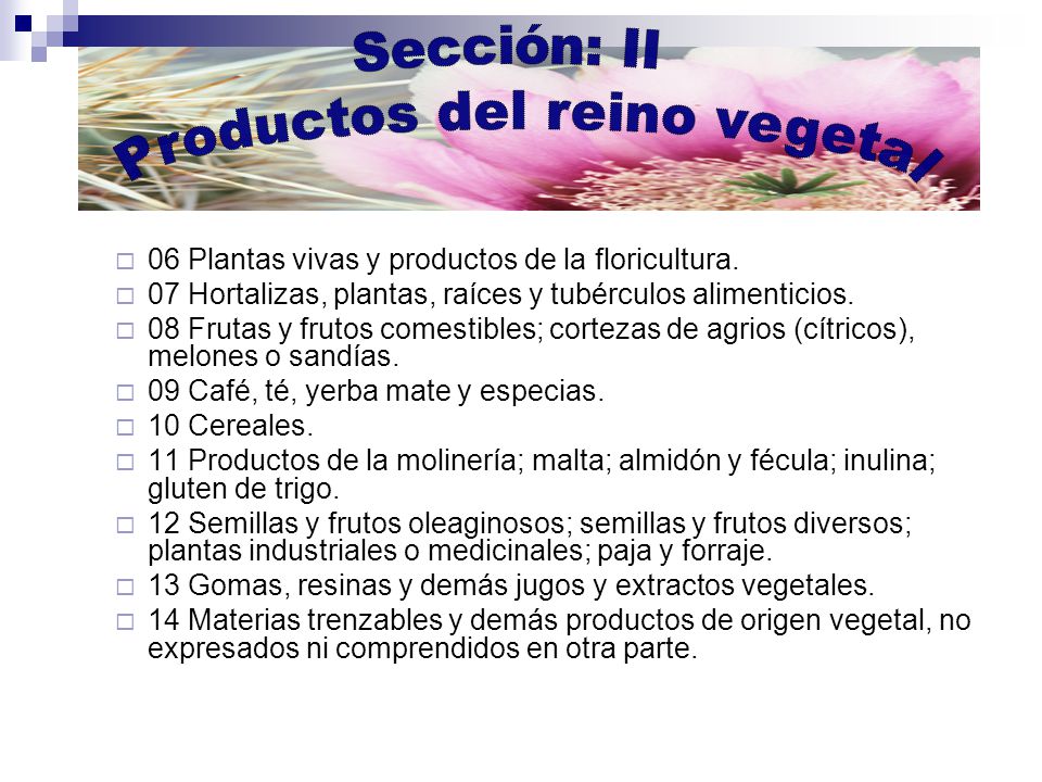 Productos del reino vegetal
