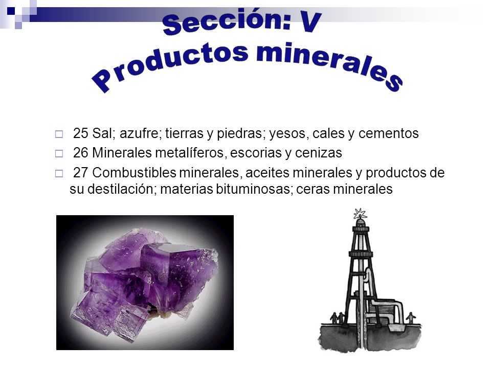 Sección: V Productos minerales