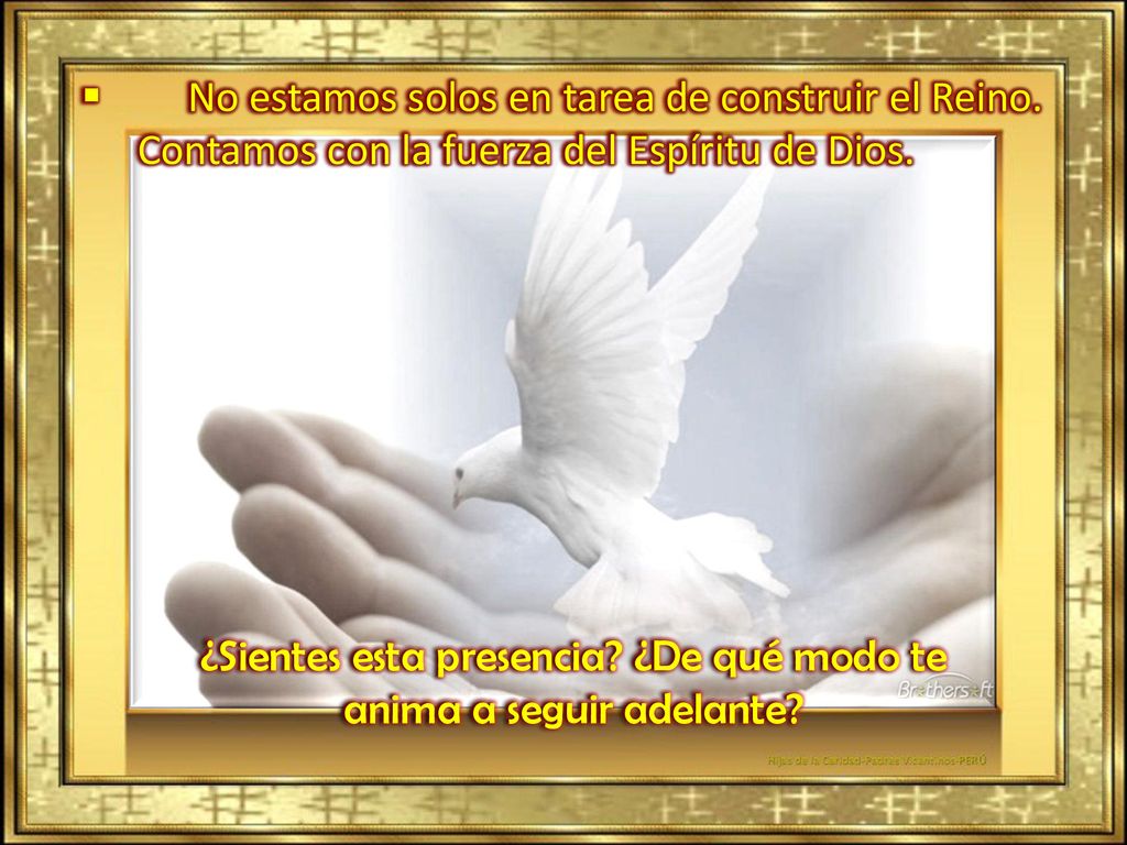 ¿Sientes esta presencia ¿De qué modo te anima a seguir adelante