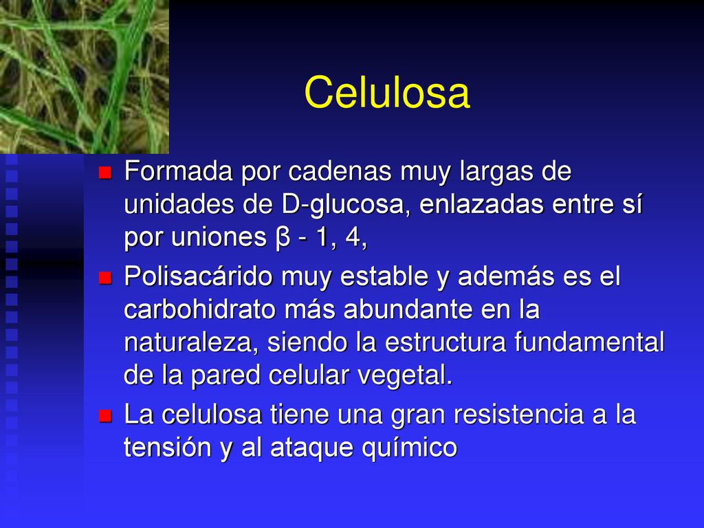 Celulosa Formada por cadenas muy largas de unidades de D-glucosa, enlazadas entre sí por uniones β - 1, 4,